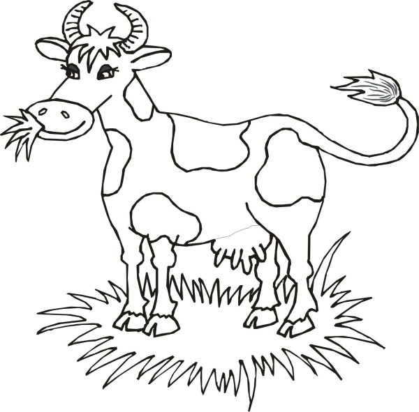 Раскраска корова