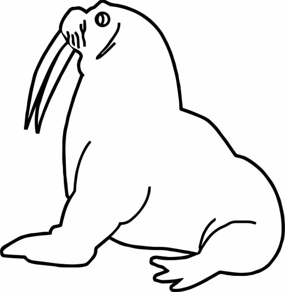 Силуэты животных севера
