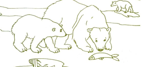 Раскраска животные севера