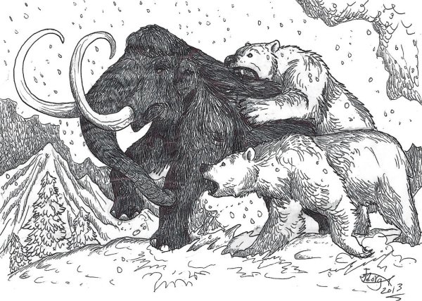 Ursus maritimus Tyrannus