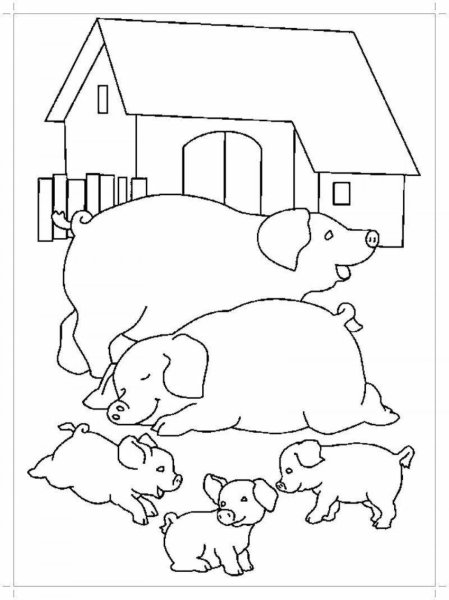 Раскраска Мои первые раскраски А4, 4 листа Феникс Домашние животные 43037