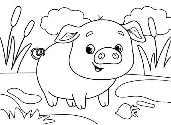 Раскраски домашние животные свинья (65 фото)