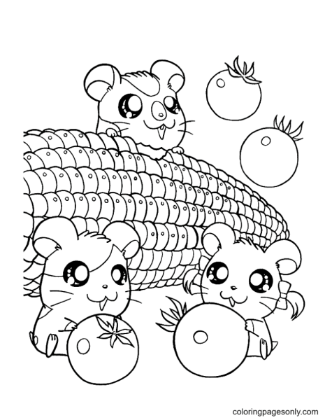 Hamtaro раскраска