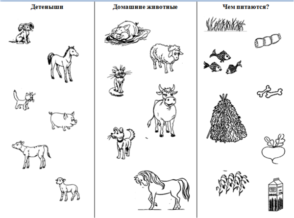 Дикие и домашние животные рабочий лит