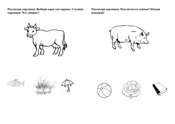 Домашние животные картинки для детей карточки