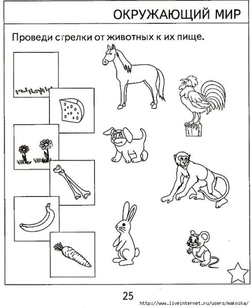 Окружающий мир для дошкольников