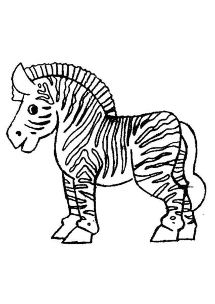 Зебра раскраска