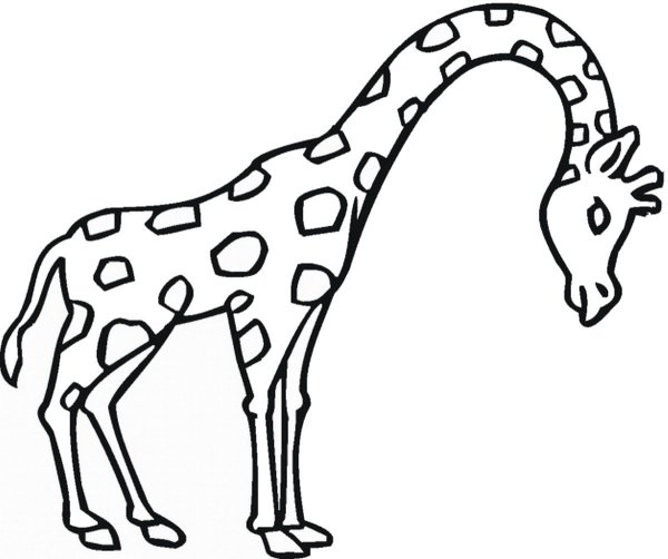 Детские рисунки жирафа