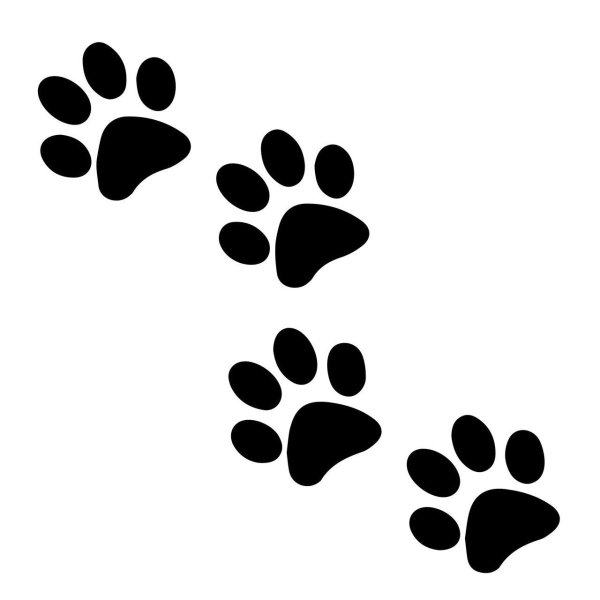 Отпечаток лапки кота