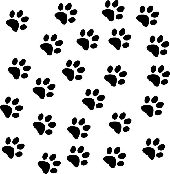 Отпечаток лапы кота