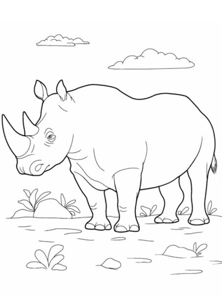 Простая Раскраска Носорог