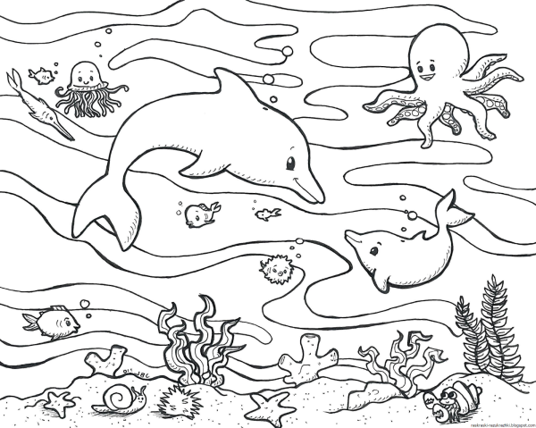 Раскраски животные подводного мира (62 фото)