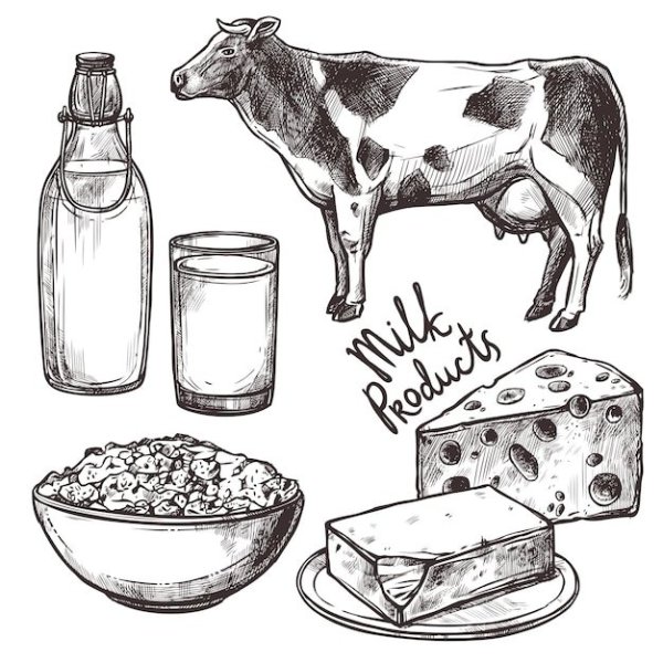 Скетч молочная продукция