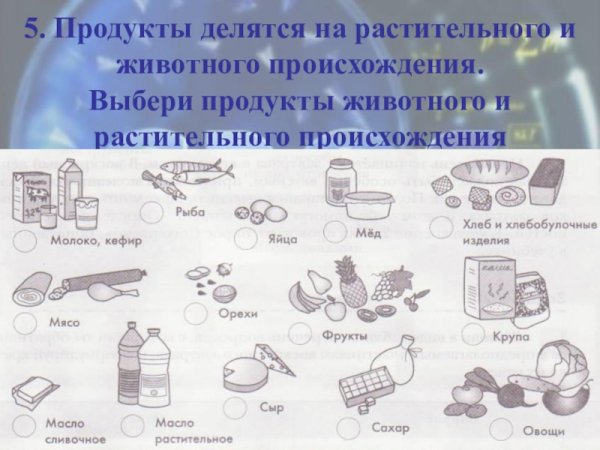 Продукты растительного и животного происхождения