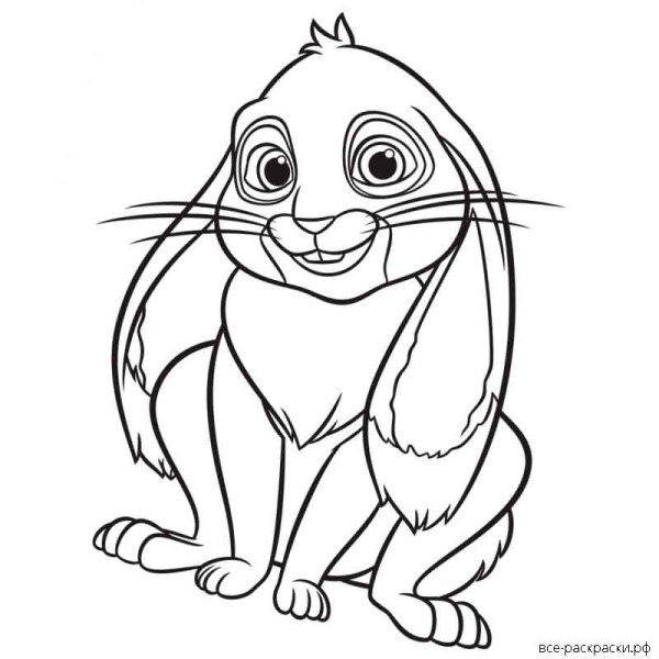 Раскраска зайчик и котик