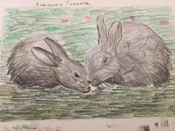 Акварельные раскраски по эскизам животные