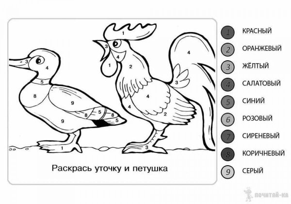 Домашние птицы раскраска для дошкольников