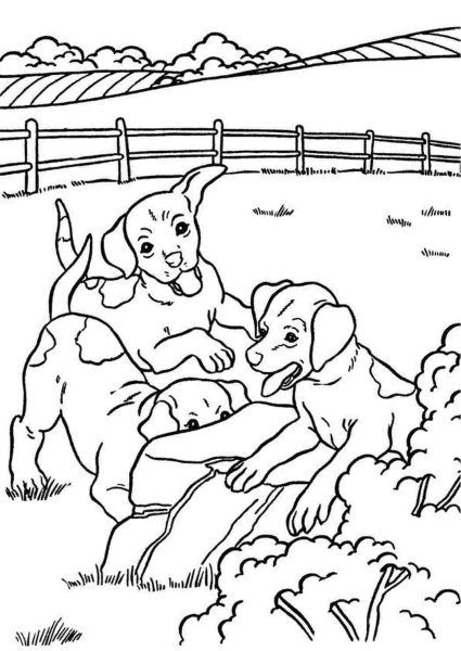 Кошки. Раскраска