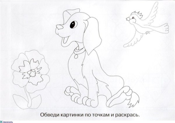 Обвести по точкам животных
