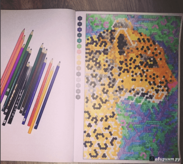 Coloristic. Цветовой квест по номерам