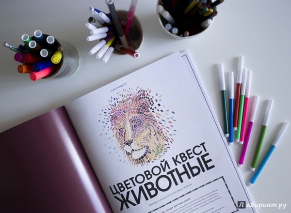 Цветовой квест