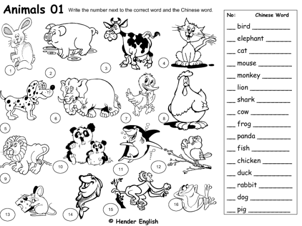 Wild animals for Kids задания