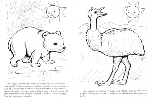 Раскраска животные красной книги для детей