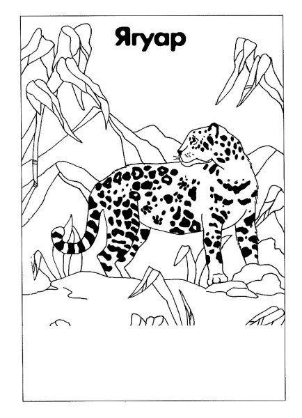 Красная книга раскраска