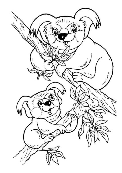 Коала. Раскраска