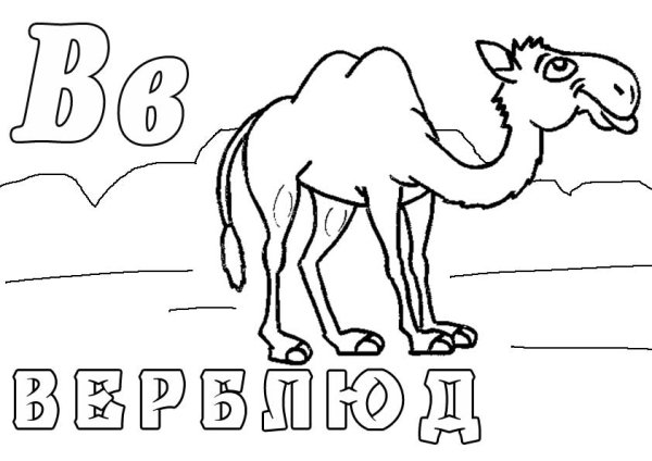 Животные зоопарка раскраски для детей