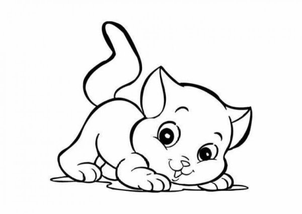 Котенок раскраска для детей