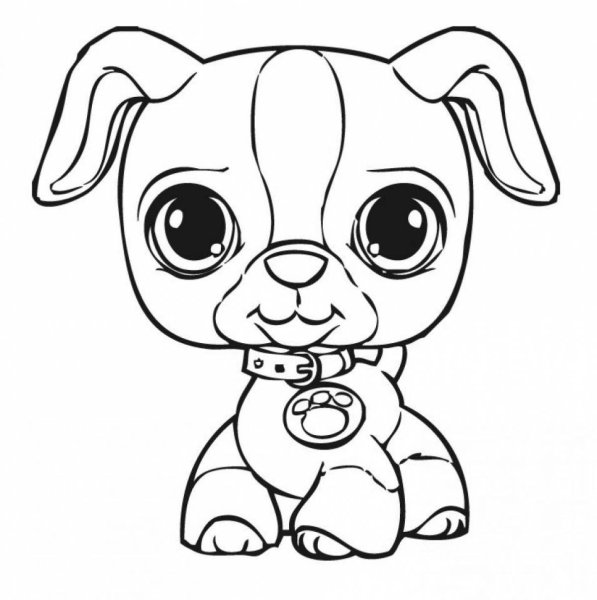 Раскраска Littlest Pet shop