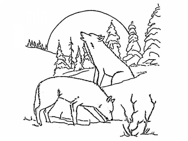 Зимний лес раскраска