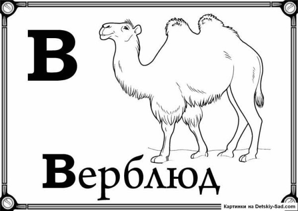 Карточки с буквами для раскрашивания