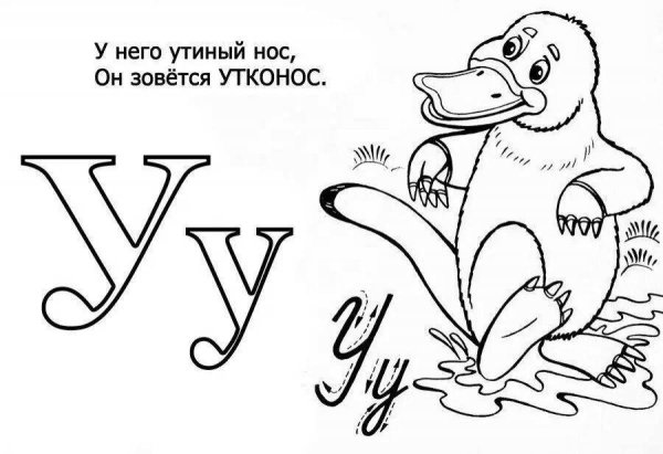 Раскраски для изучения алфавита