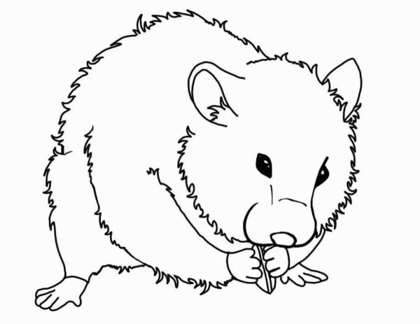 Раскраска Хома