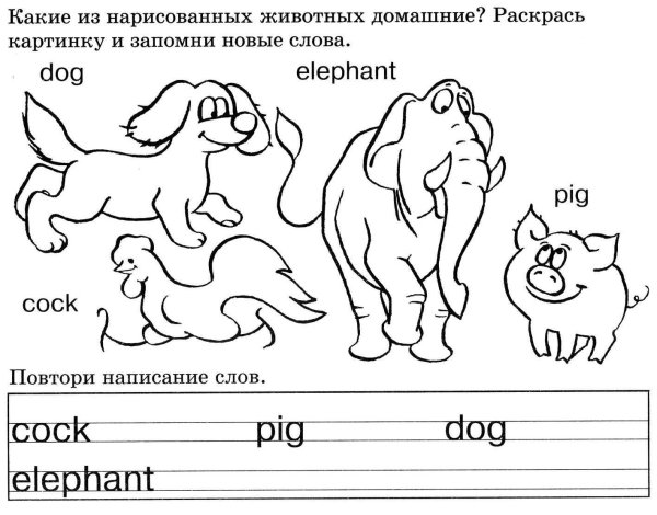 Дикие животные Worksheets