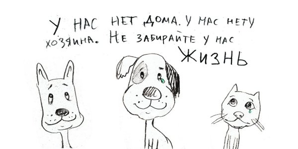 Плакат бездомные животные