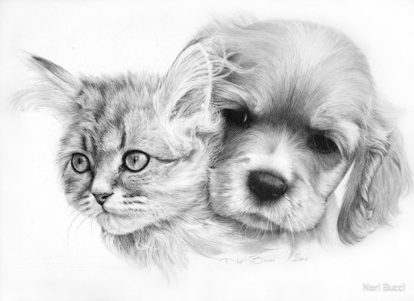 Животные рисунки