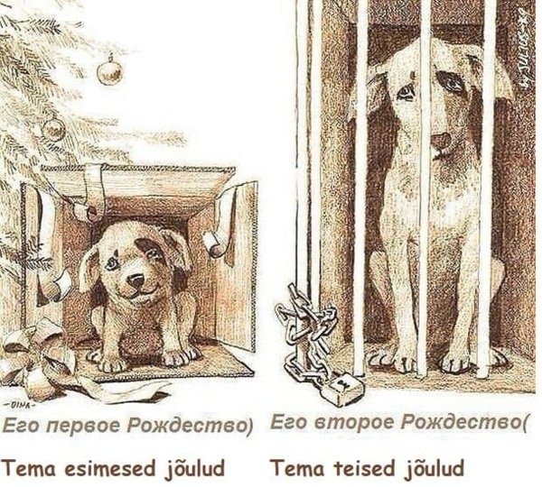 Бездомные животные рисунок
