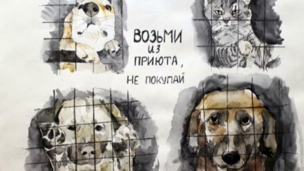 Бездомные животные рисунок