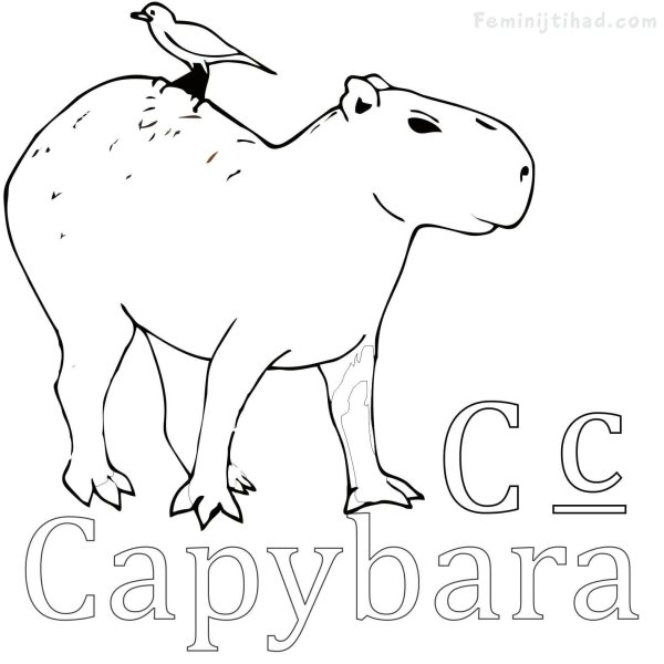 Капибара разукрашки
