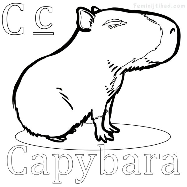 Капибара контур
