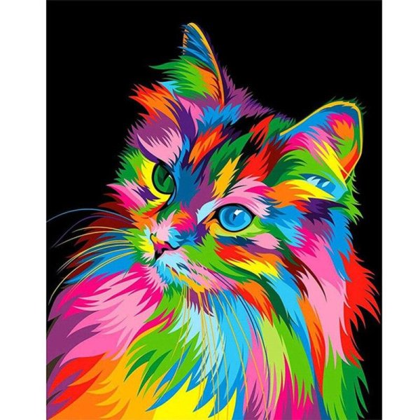 Разноцветный кот