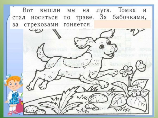 Чарушин про Томку раскраска