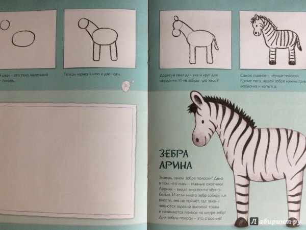 Схема рисования зебры для дошкольников