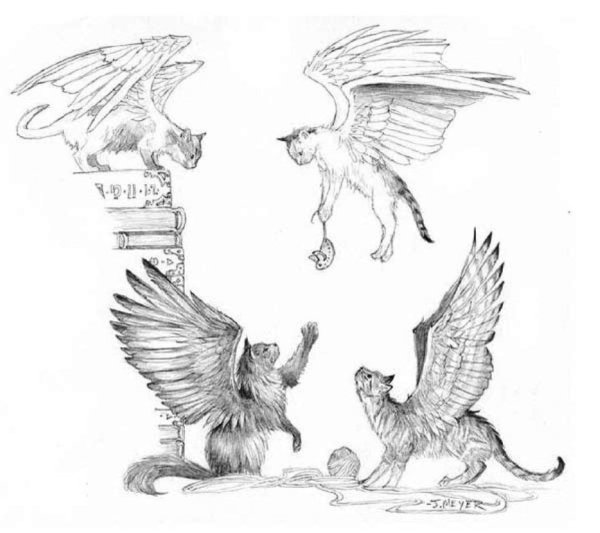 Кошка с крыльями эскиз