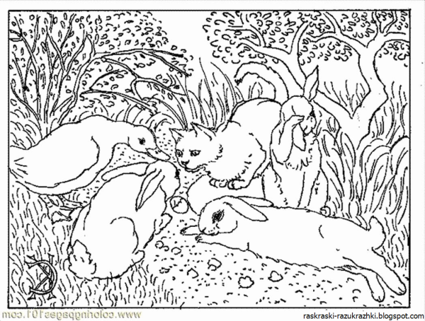 Книжка малышка раскраска