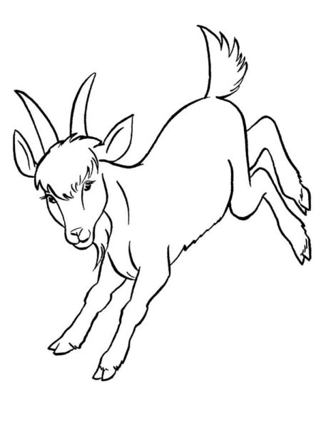 Козлик раскраска