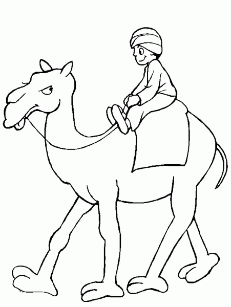 Верблюд раскраска